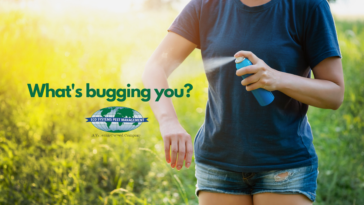 Eco Systems Pest Control Inc. - A Division of Modern Pest Services