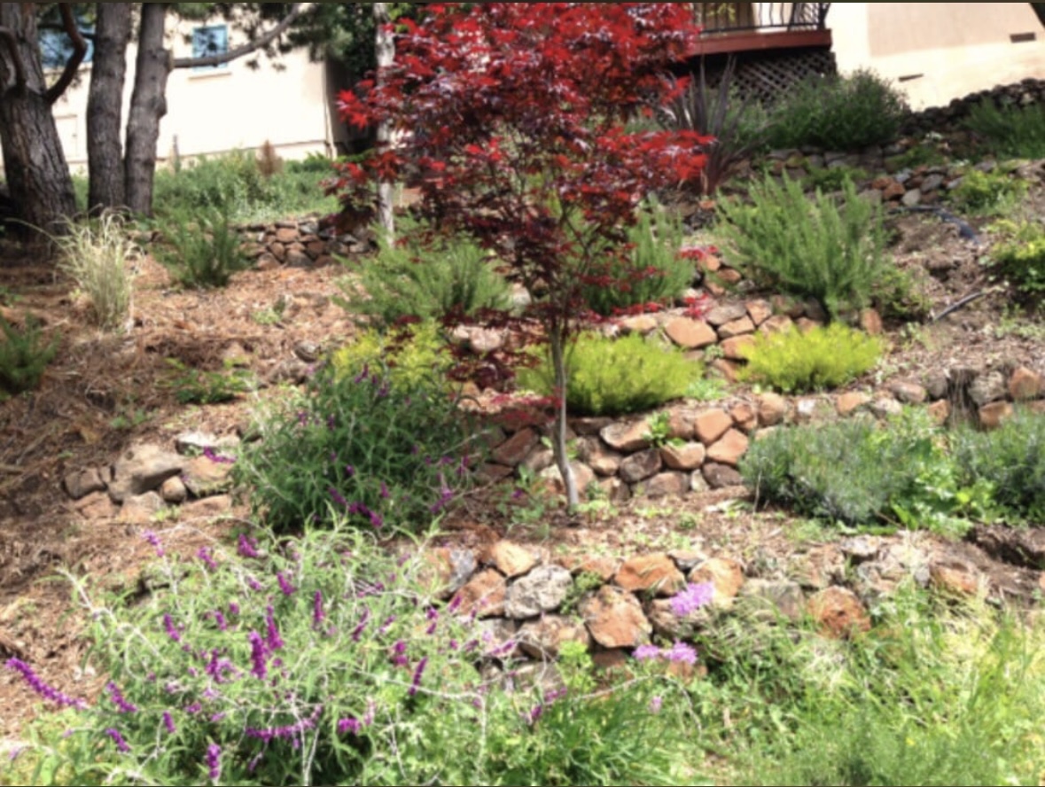 D. Garcia's Landscaping, Inc.