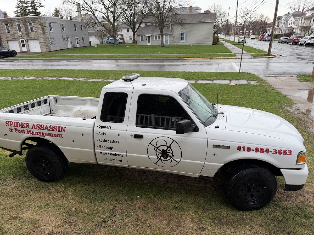 Spider Assassin and Pest Management