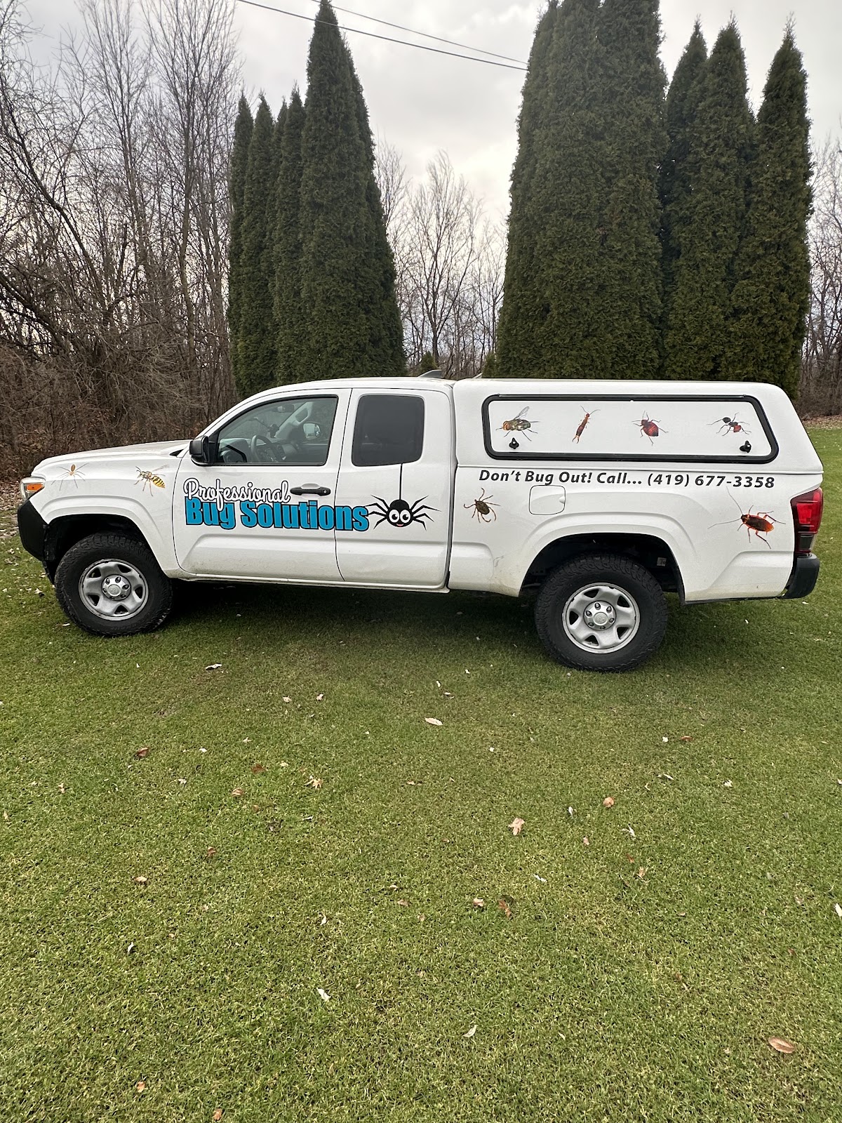 Professional Bug Solutions