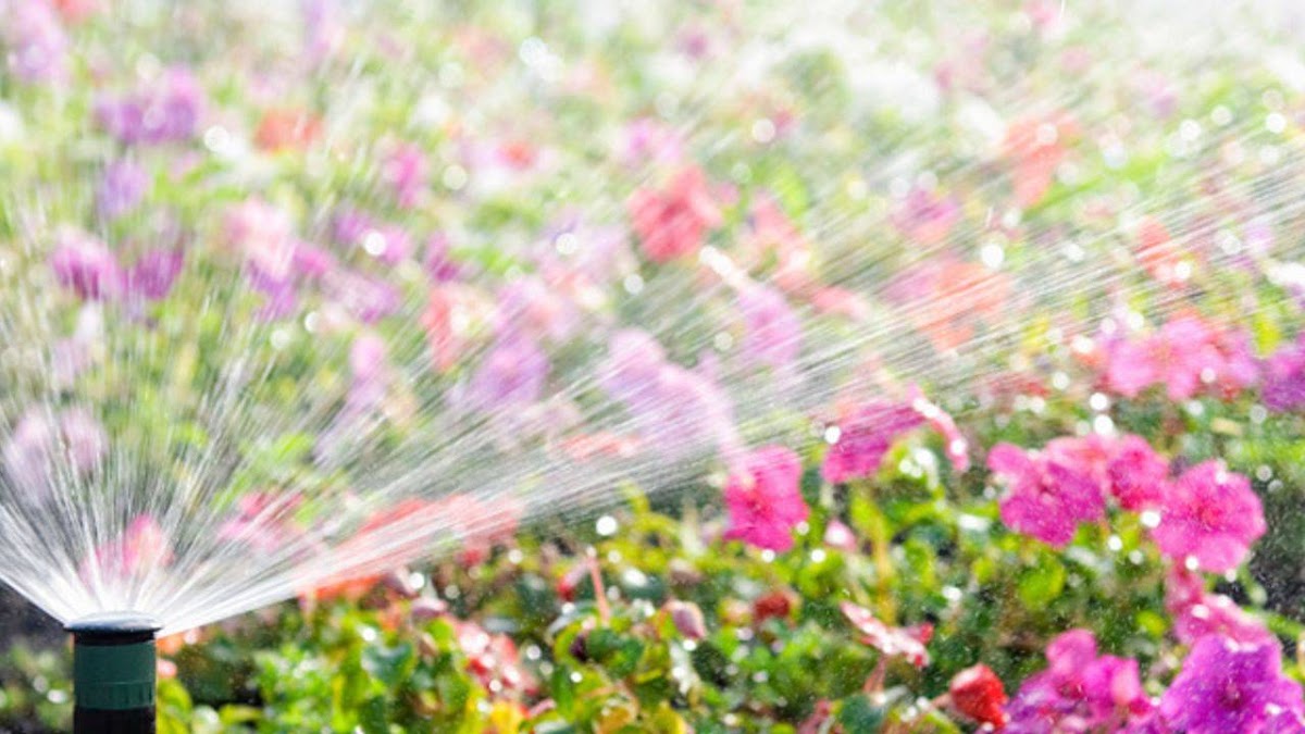 Juarez Landscaping LLC