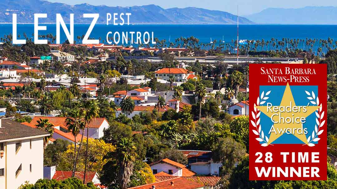 Lenz Pest Control