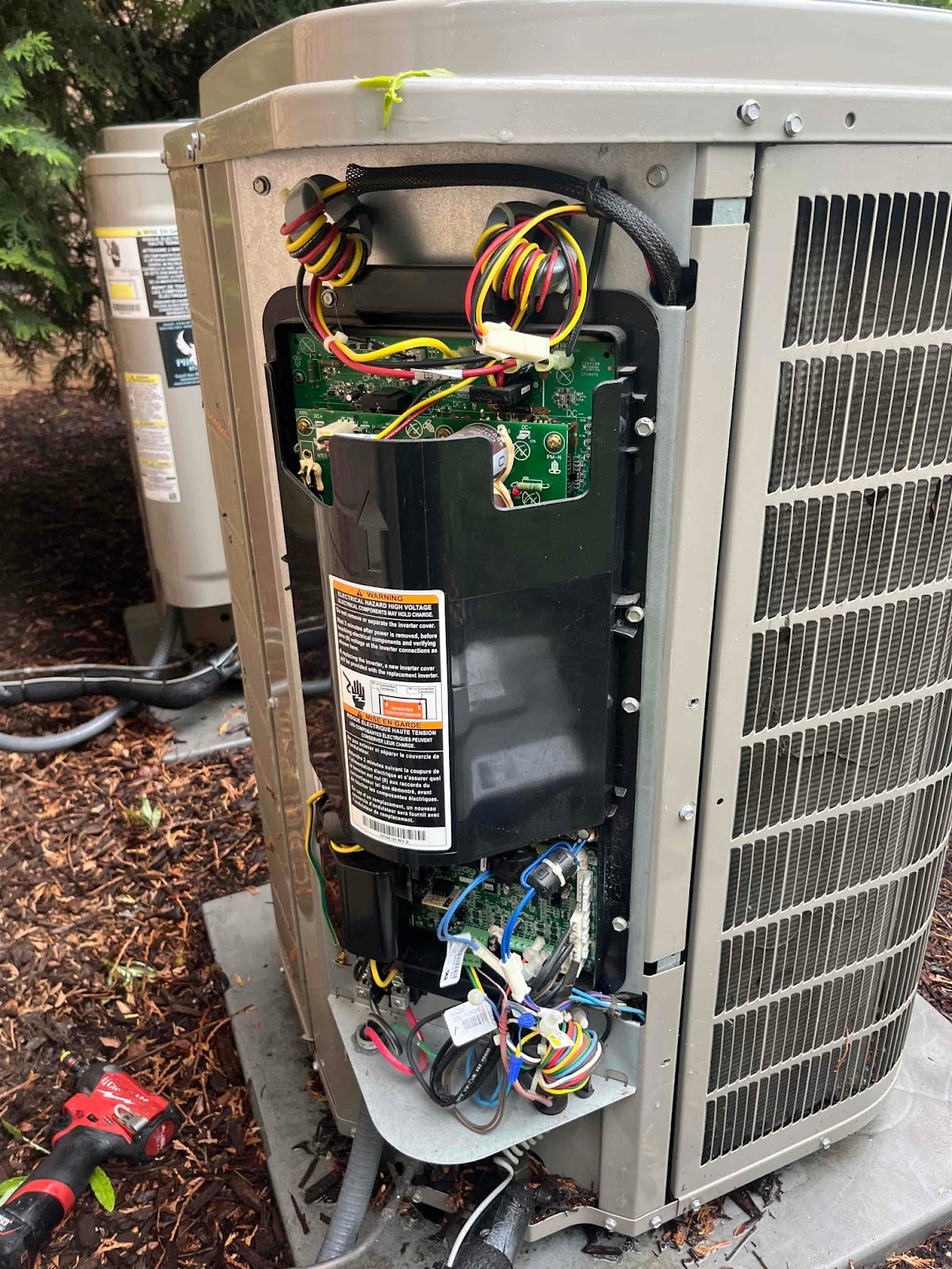 Business photo