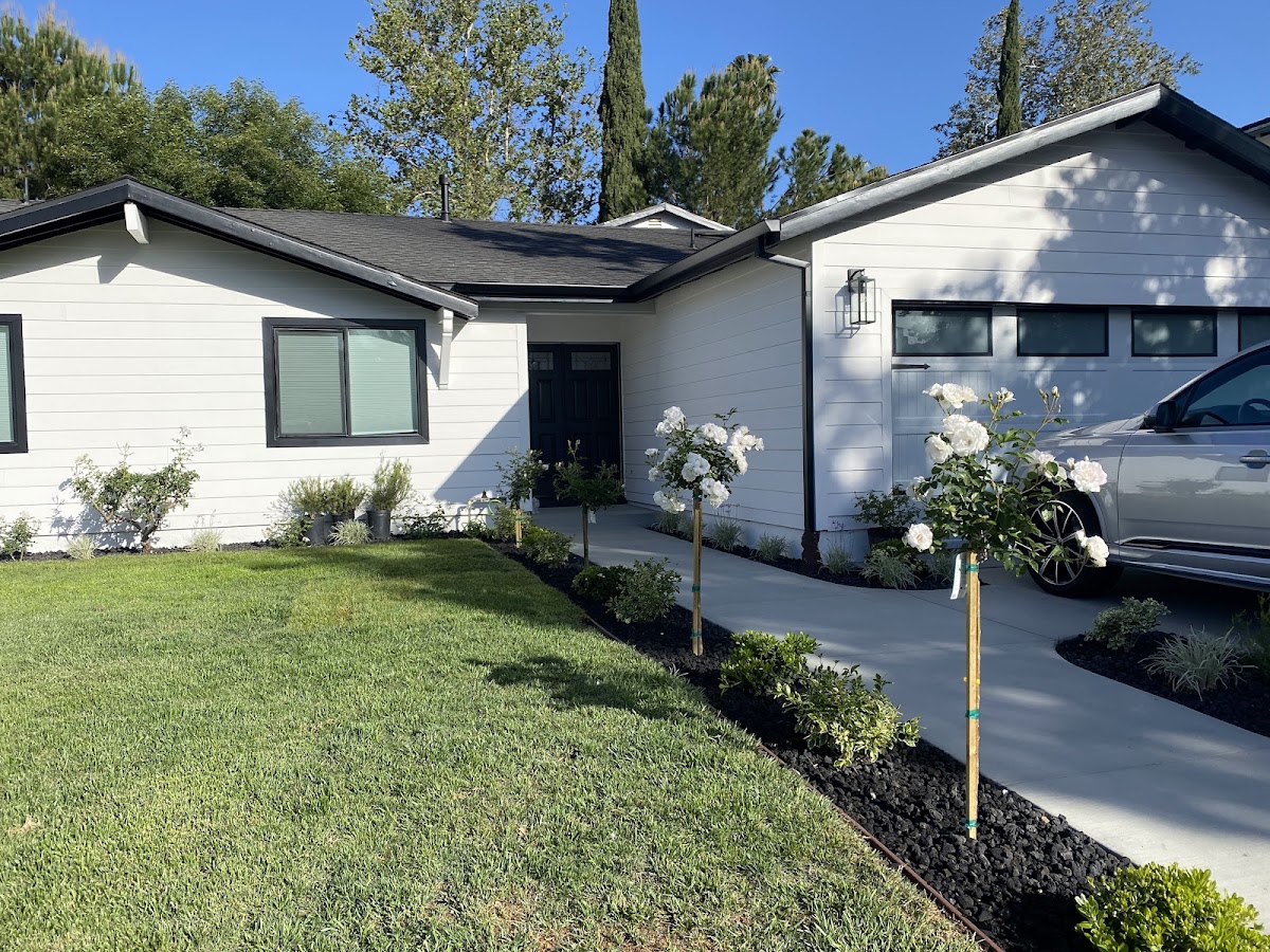 LOCAL PAINTING /SG PRO PAINTING