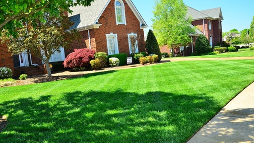 The Yard General AG INC