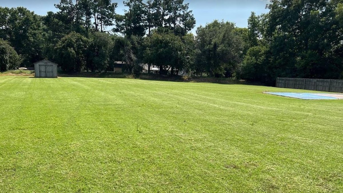 Odyssey Lawn Care LLC