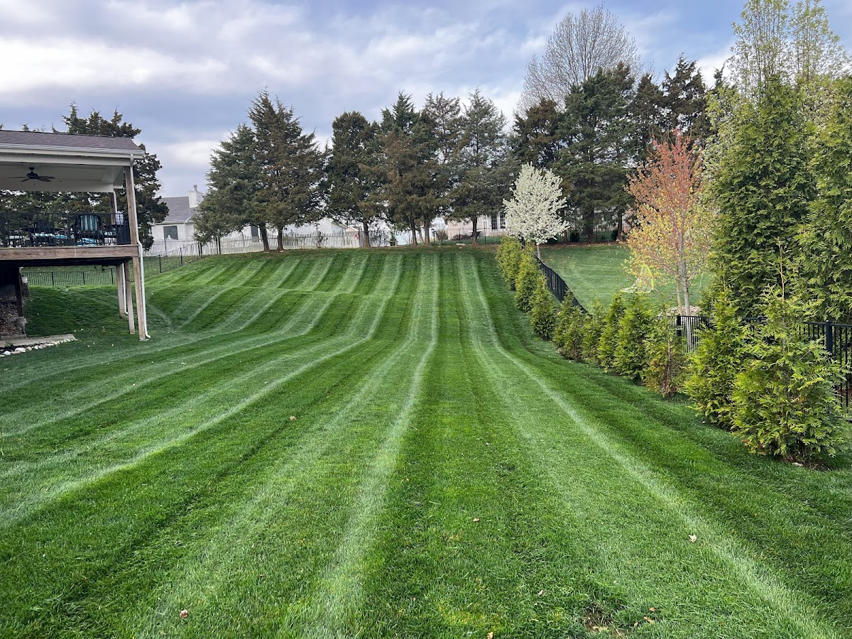 The Grounds Guys of St. Peters, MO