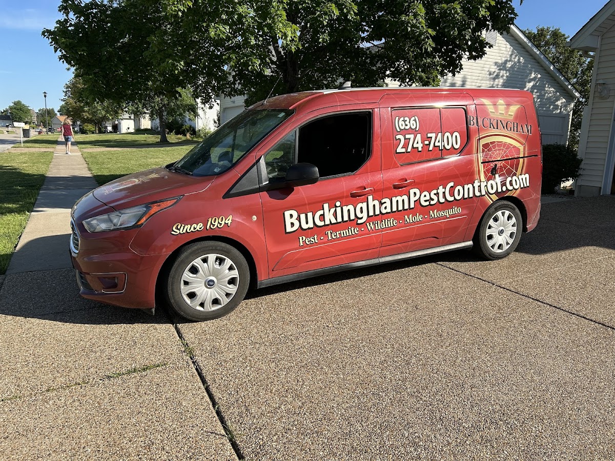 Business photo