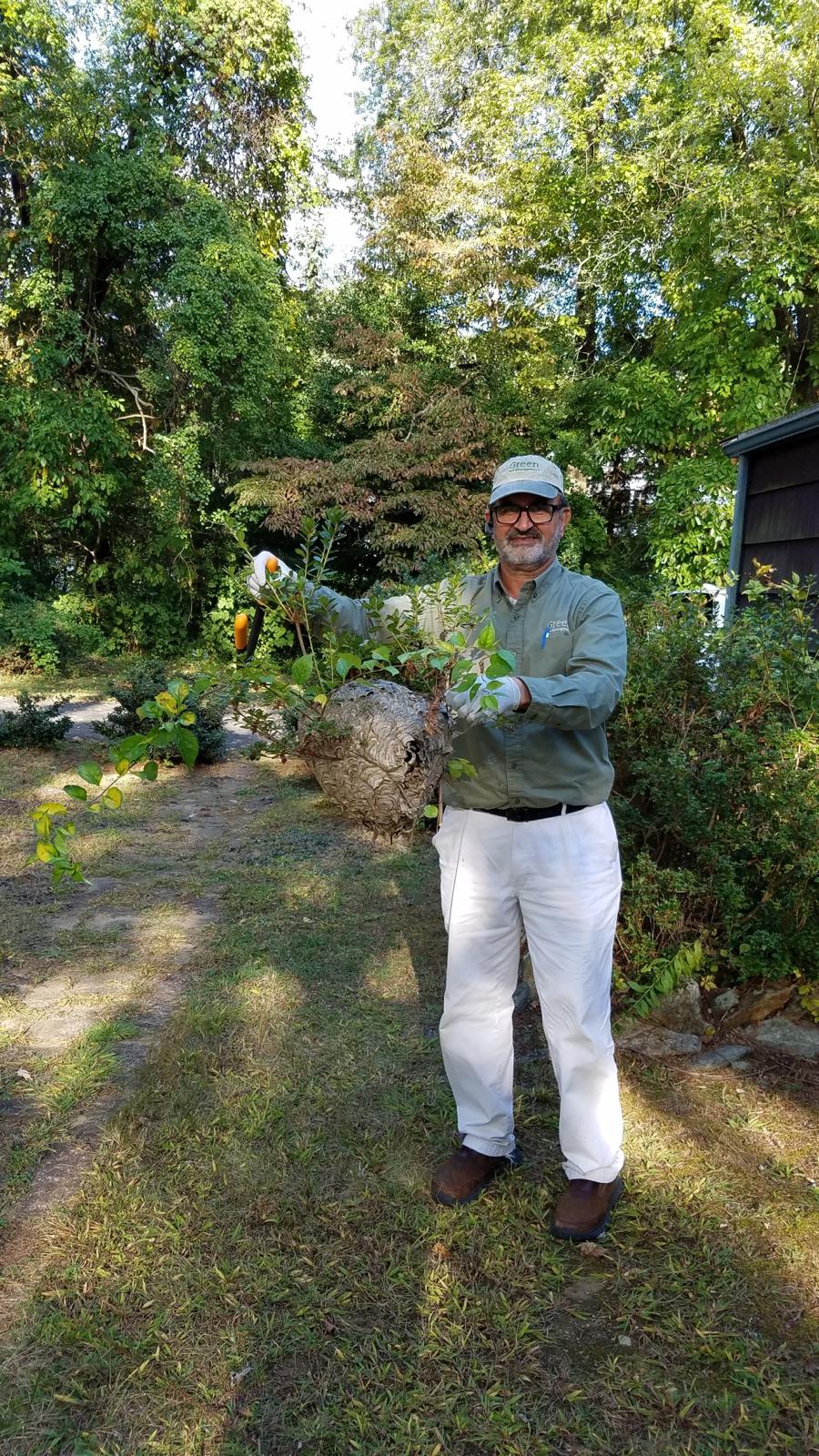 Green Pest Management LLC