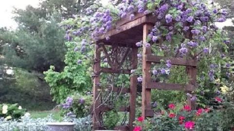 Pleasant View Lawn & Home Care Inc.
