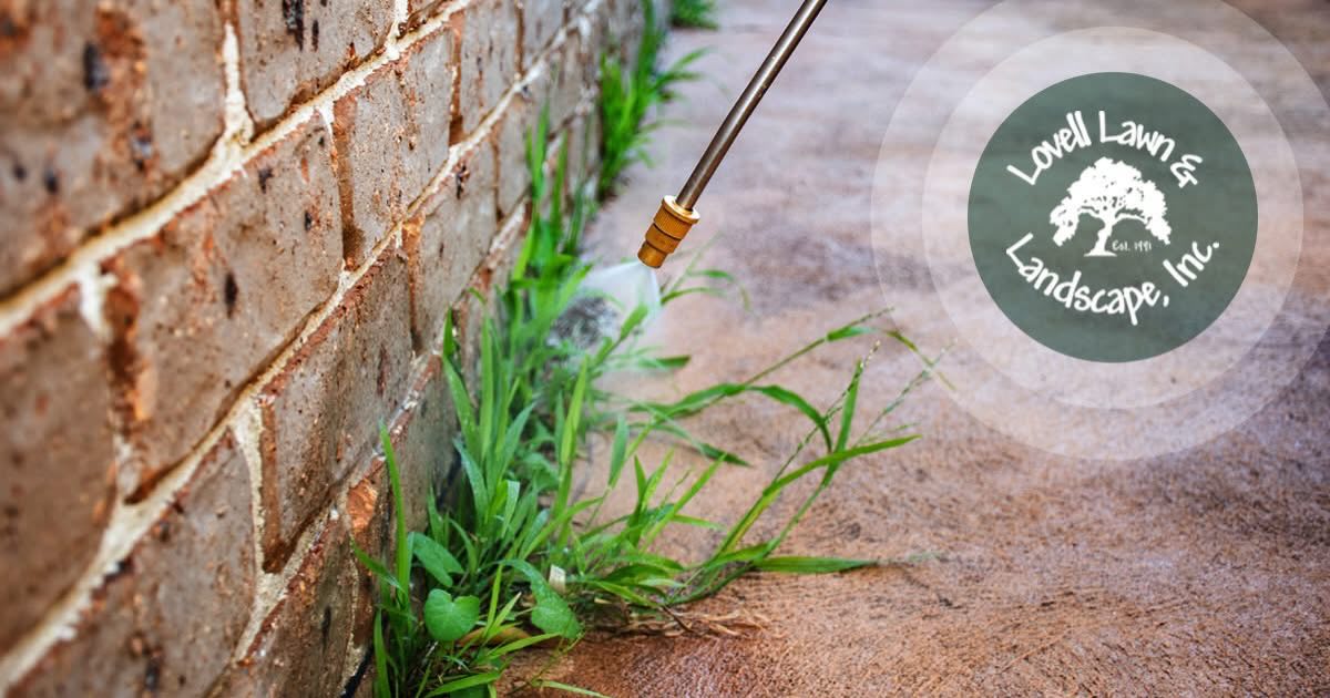 Lovell Lawn & Landscape Inc.
