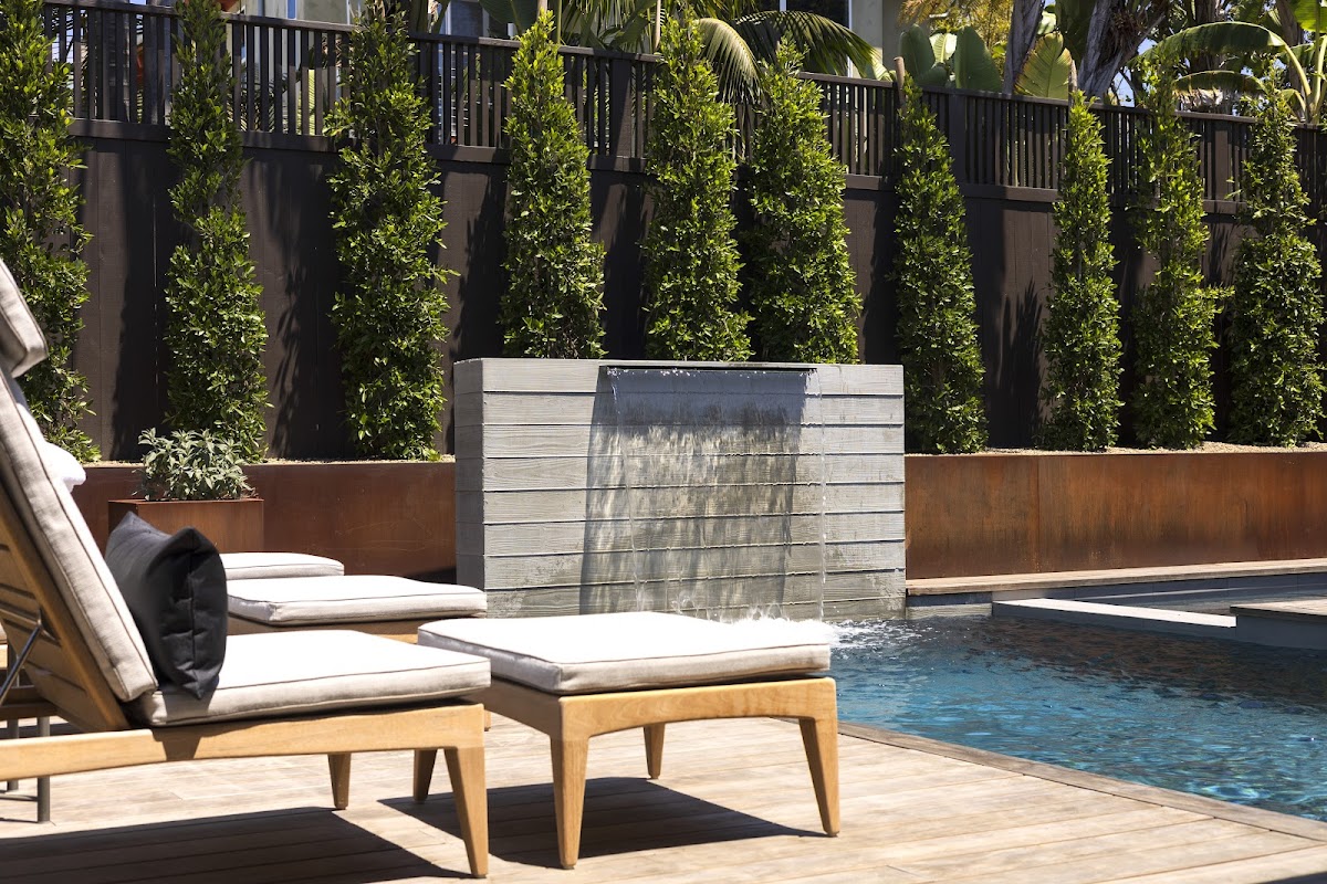 S&S Dynasty, Inc.