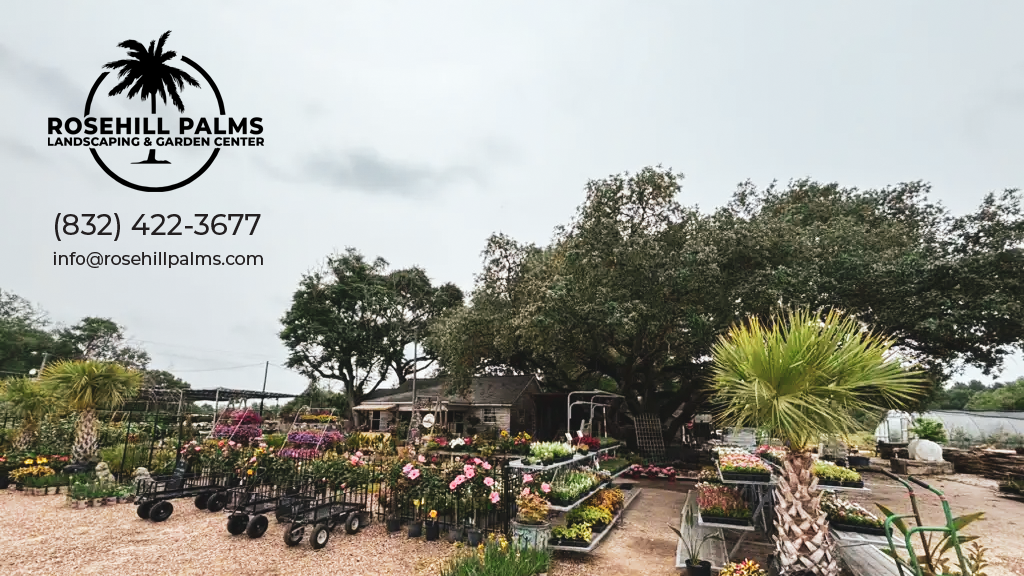 Rosehill Palms Landscaping & Garden Center
