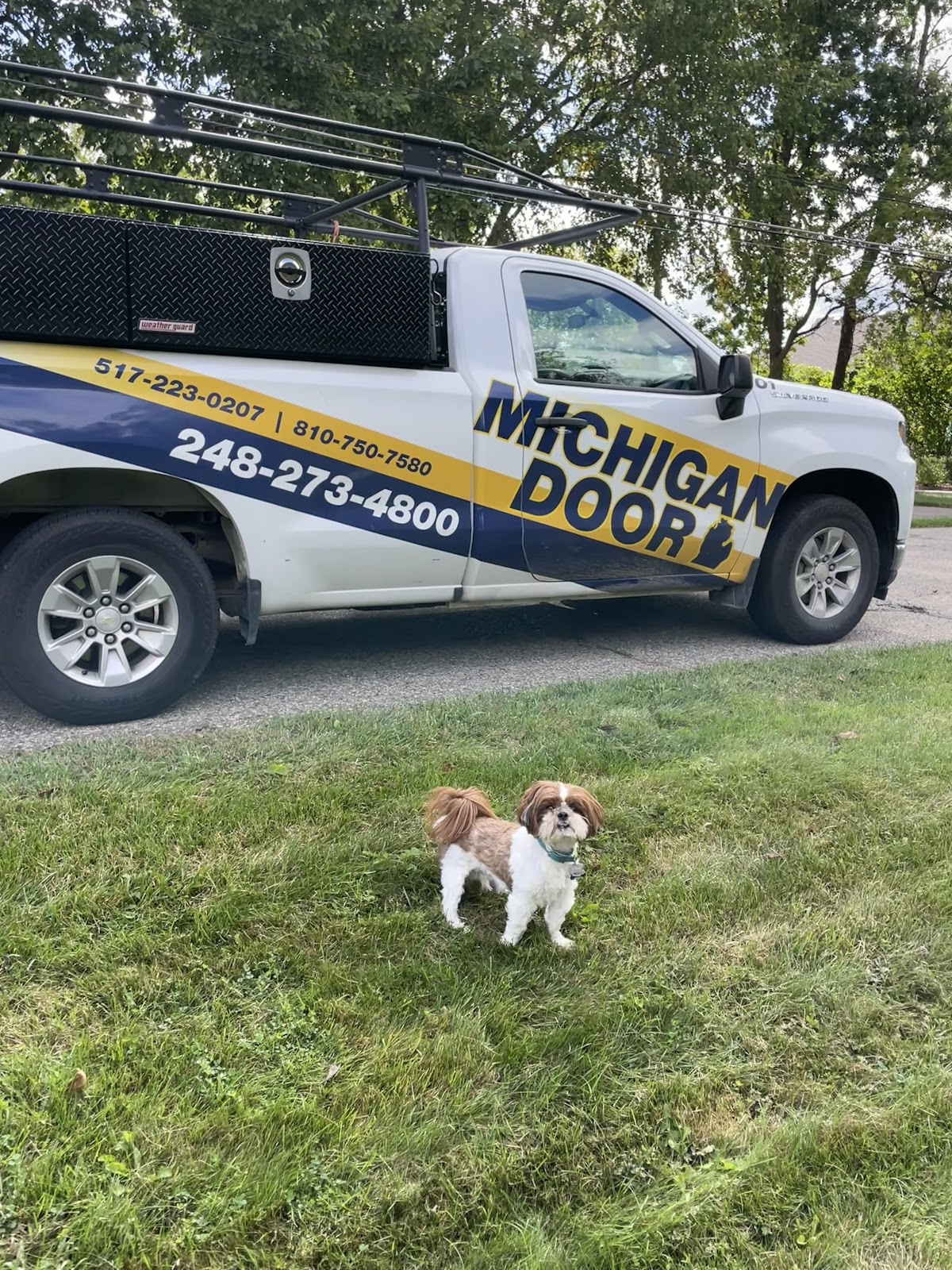 Business photo
