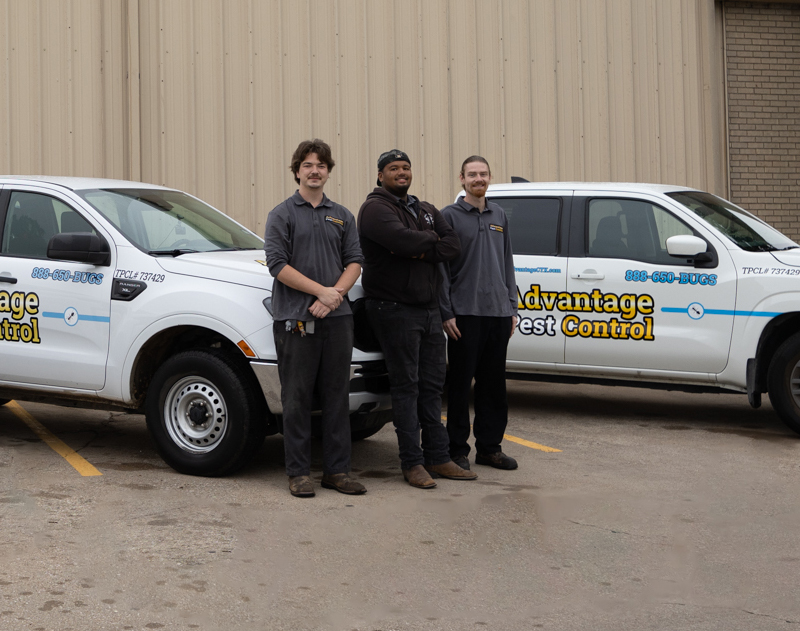 Advantage Pest Control