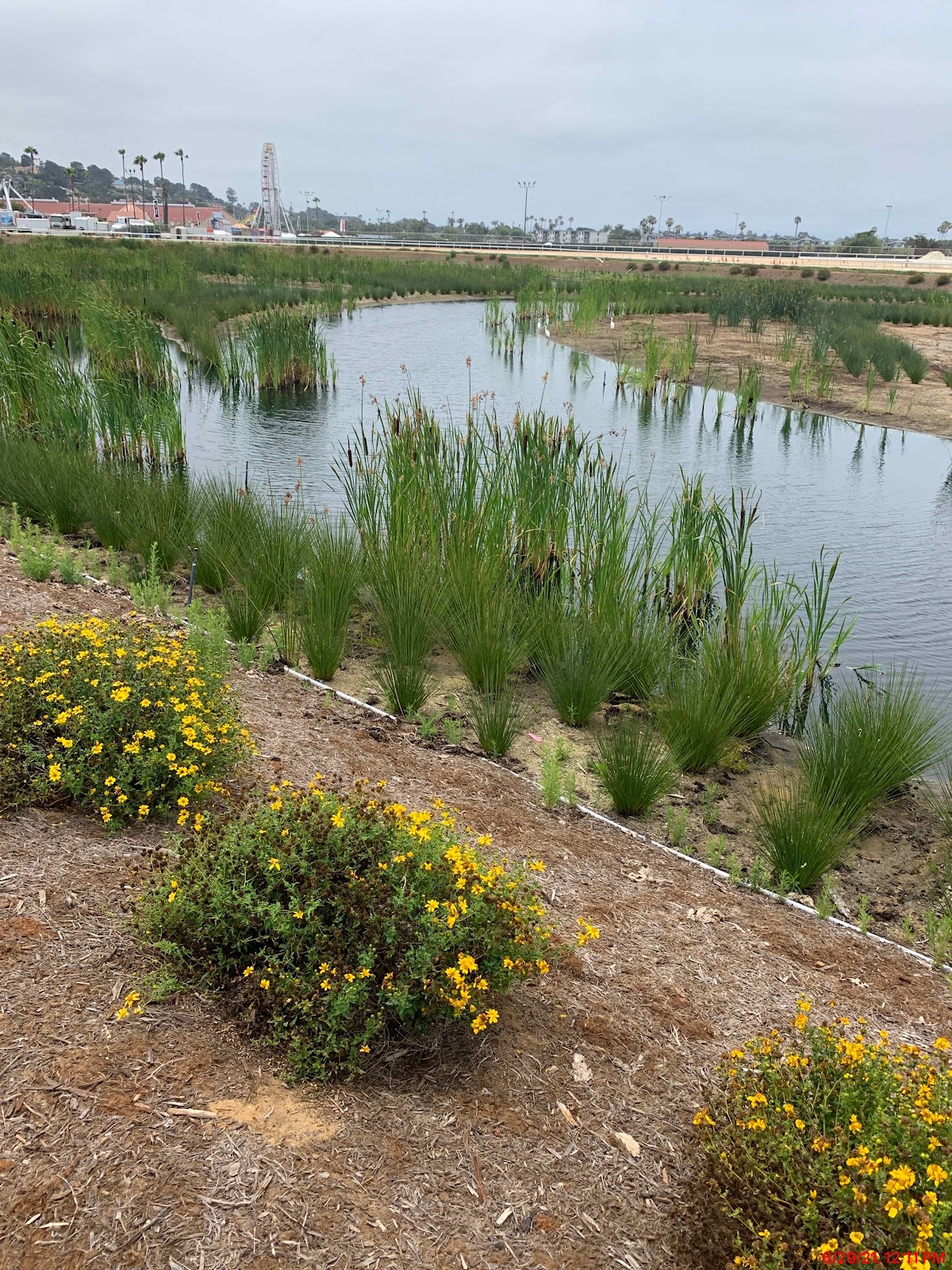 Coast Landscaping Inc.