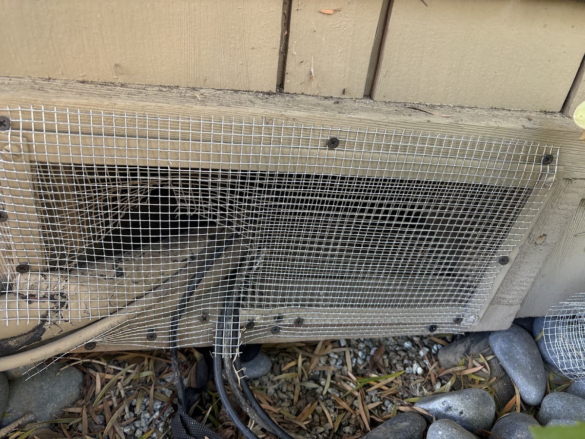 California Exterminating Service