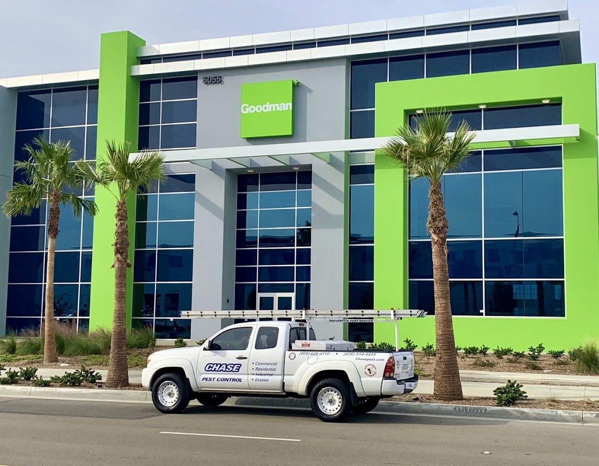 Business photo