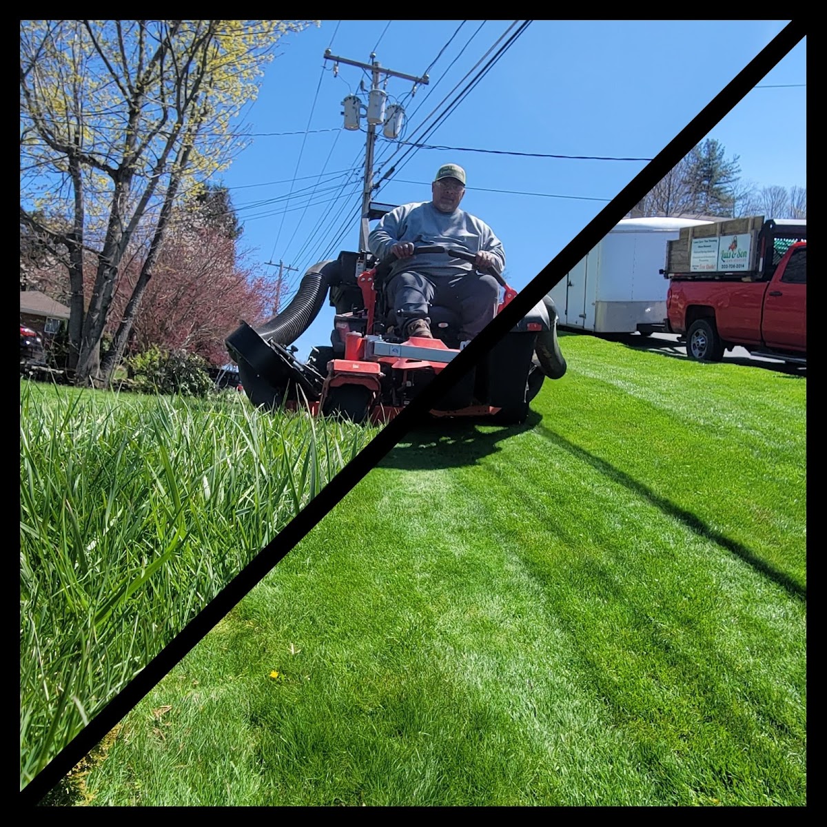 Luis & Son, LLC