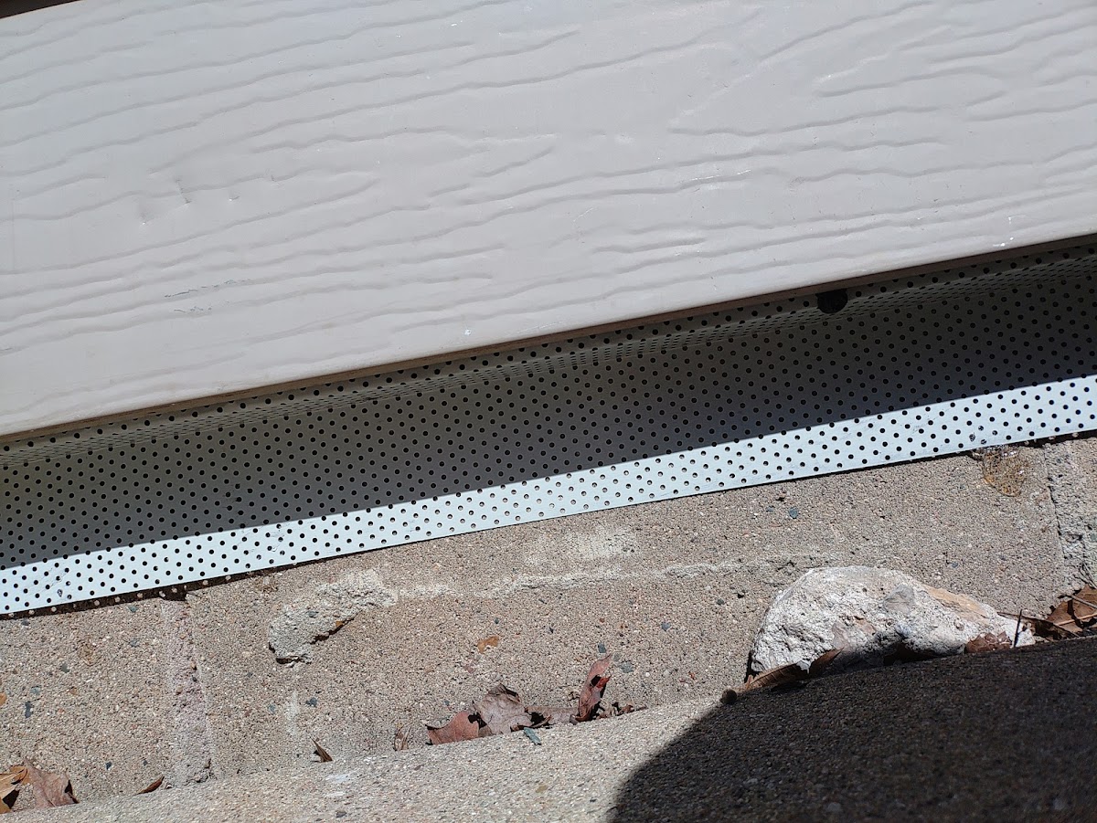 Enviro-pest Solutions LLC