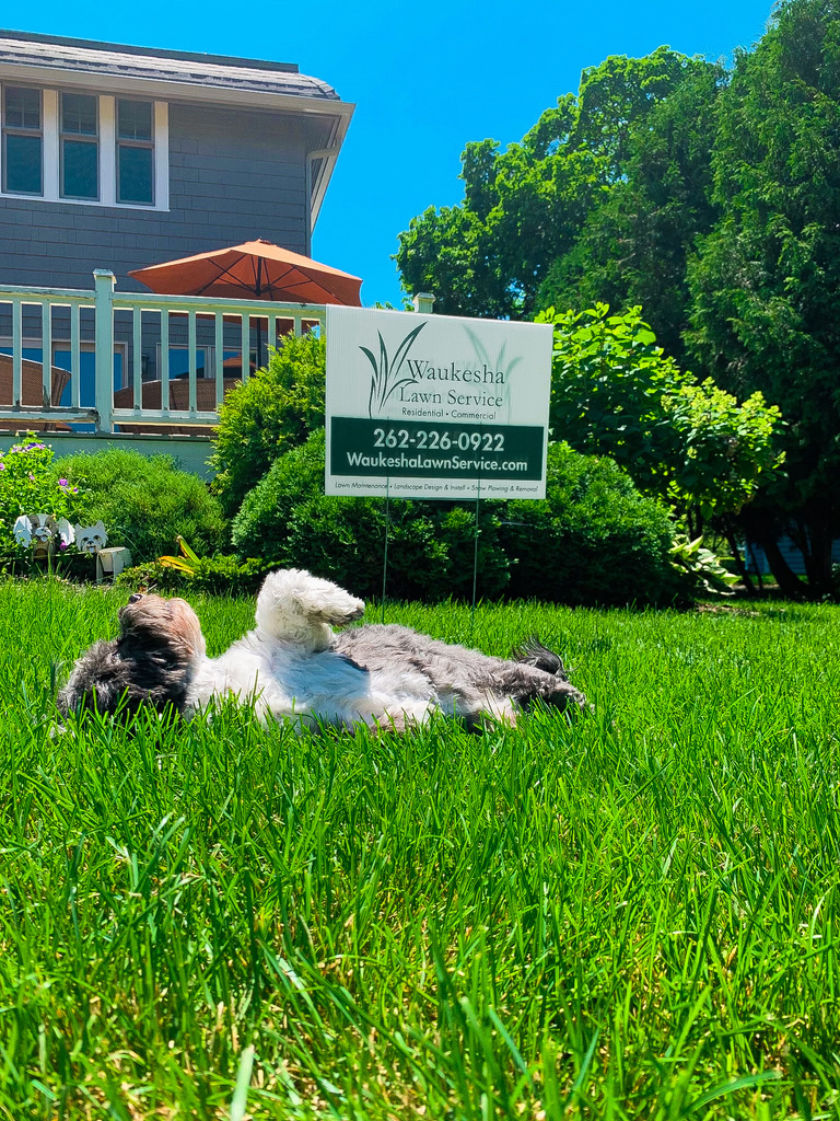 Waukesha Lawn Service