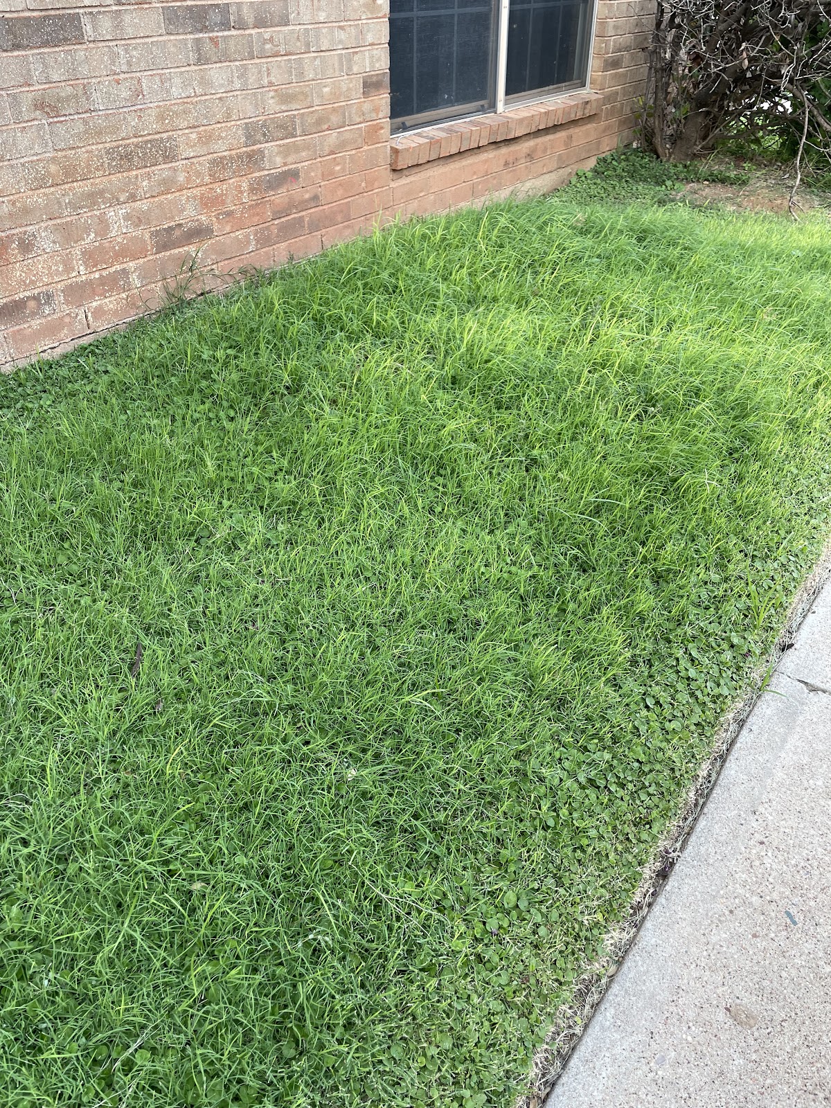 Shaw Landscaping