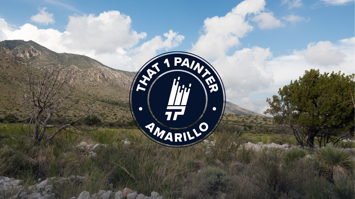 That 1 Painter Amarillo
