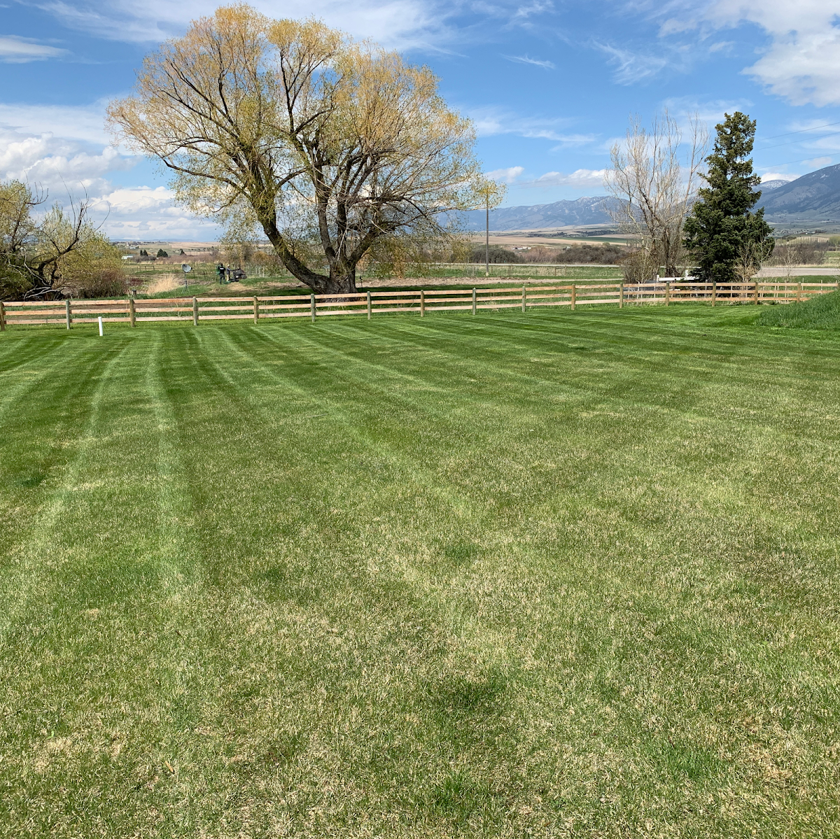 Alpha Lawn and Landscaping LLC