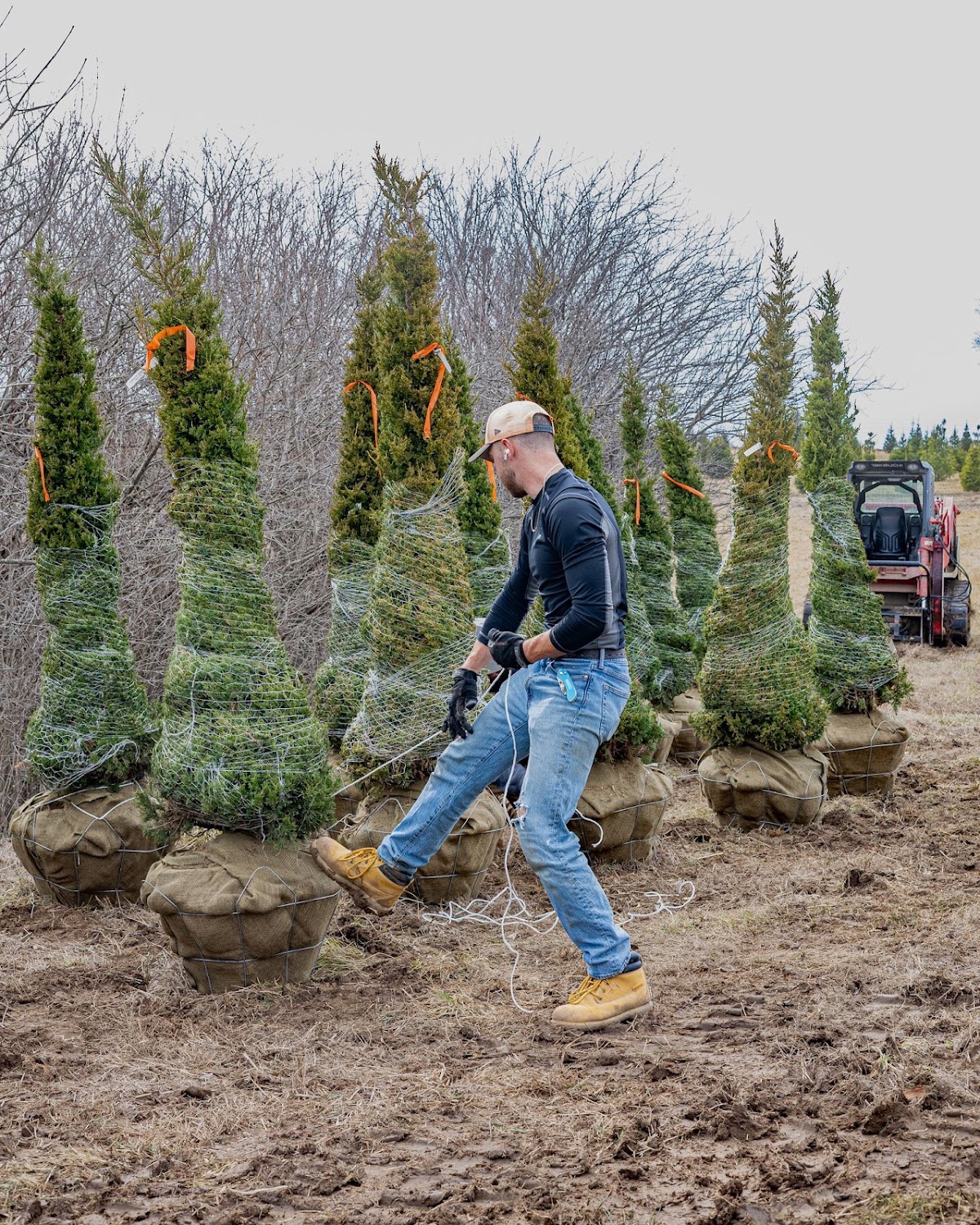 Rost Landscaping