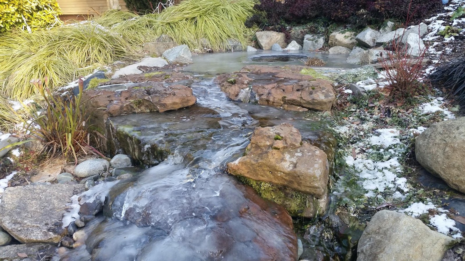 Garden City Tree & Landscape ltd