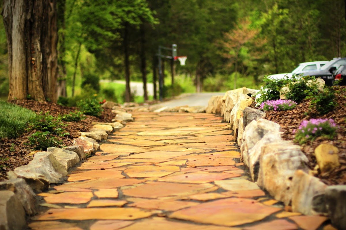 Seeds of Change Landscaping & Lawn Care