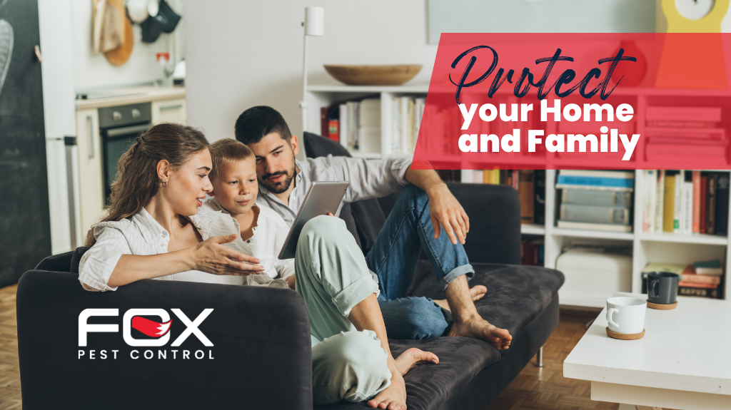 Fox Pest Control Midland