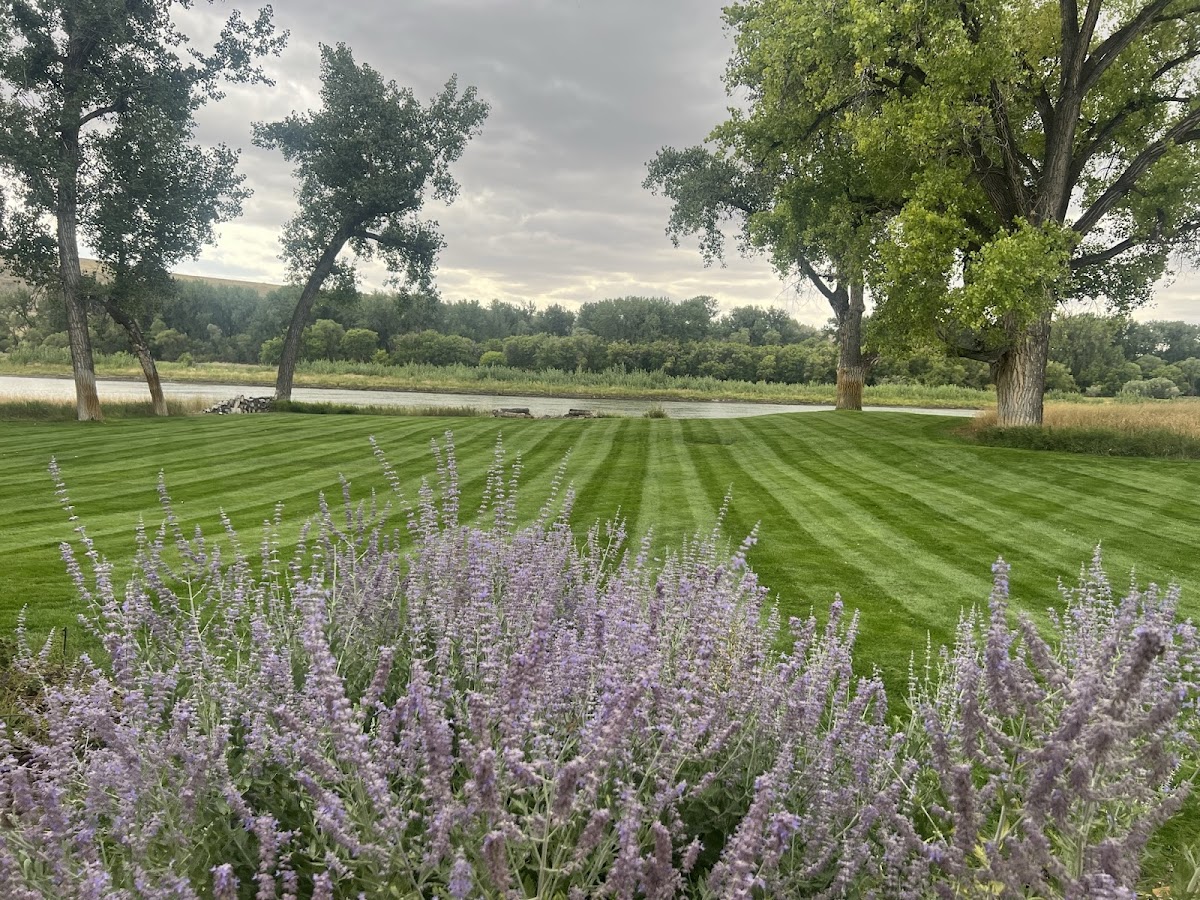 Greenleaf Landscape Management, Lawn & Fertilizer & Trees & Snow Removal