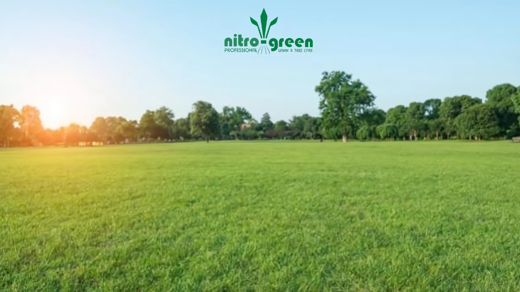 Nitro Green Professional Lawn & Tree Care