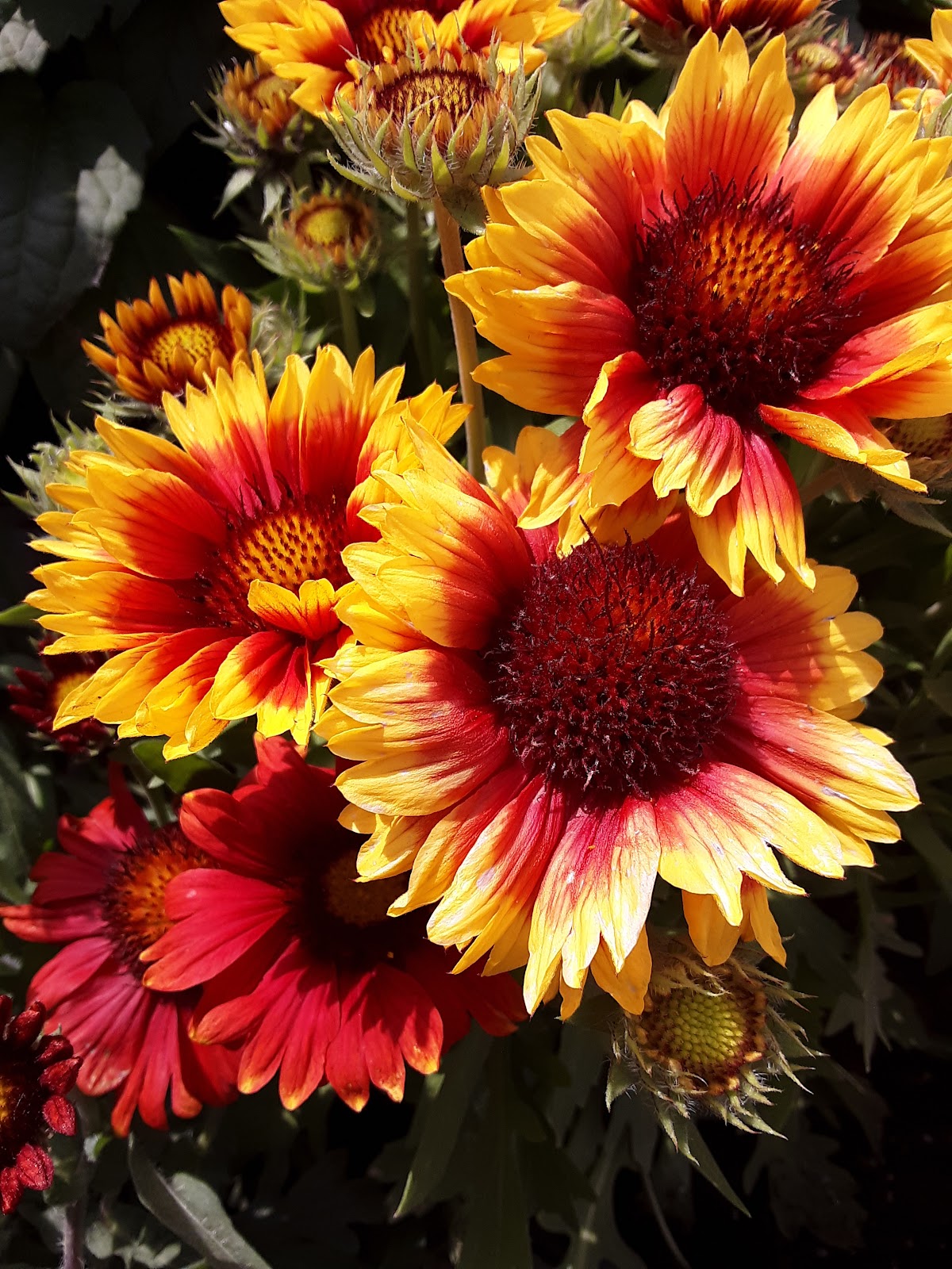 Business photo