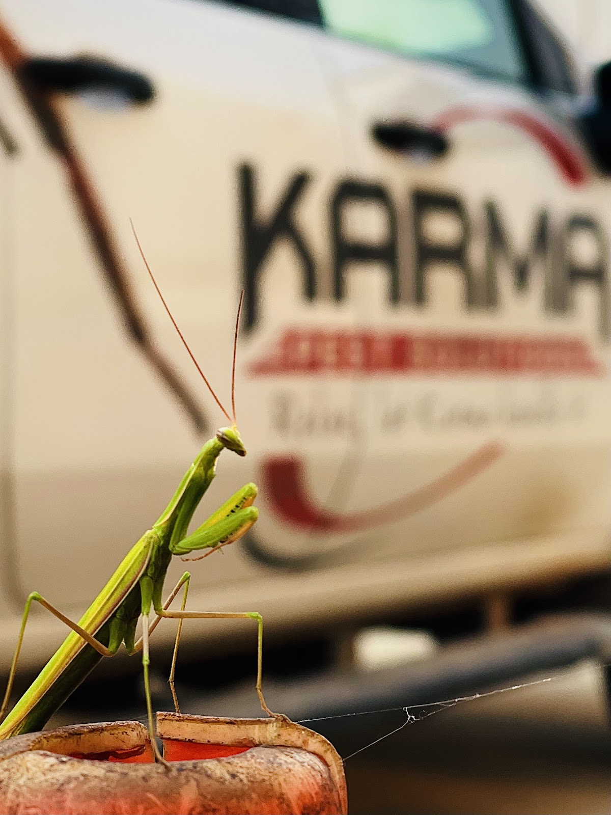 Karma Pest Solutions