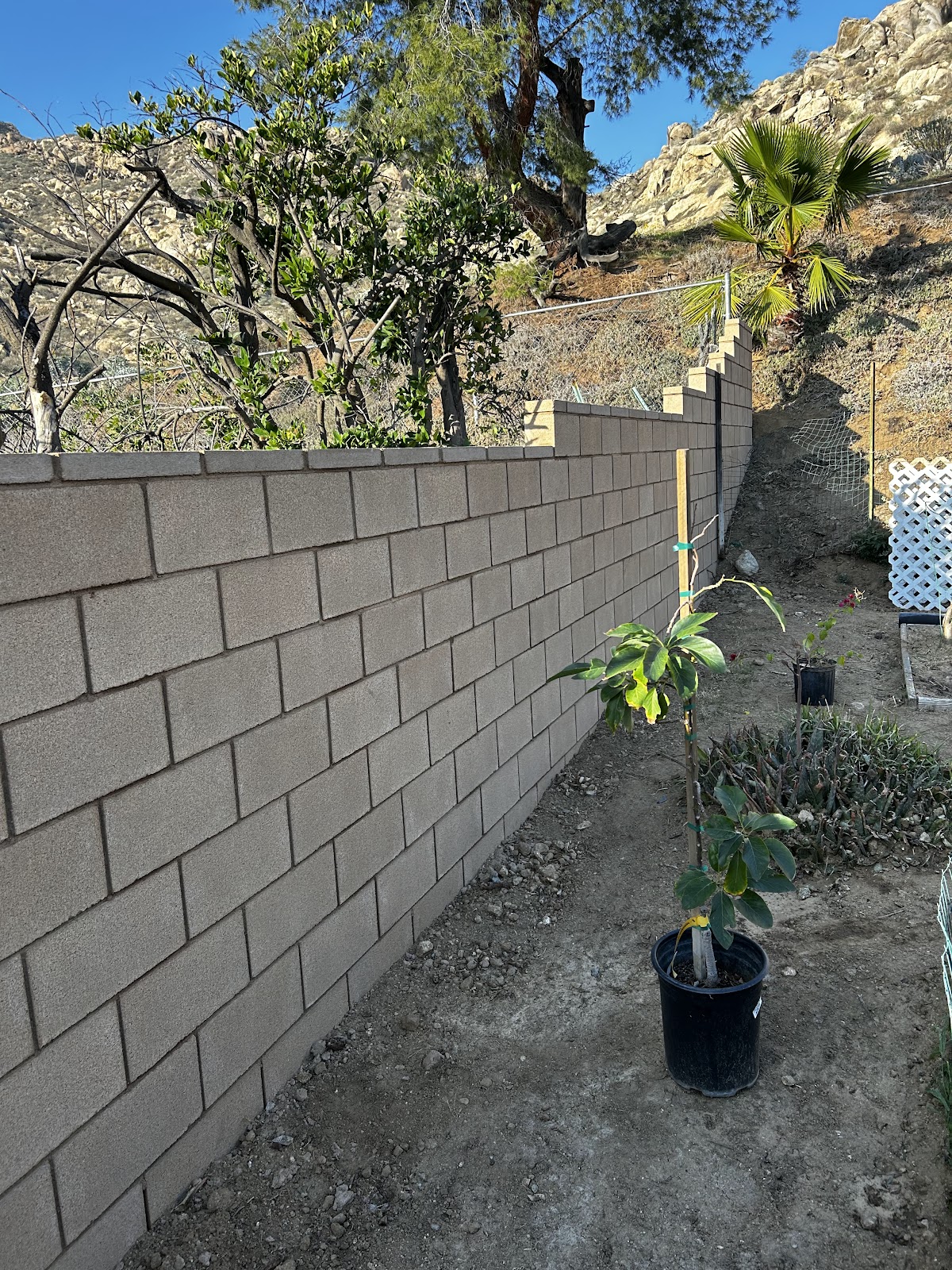 Munguia’s Masonry
