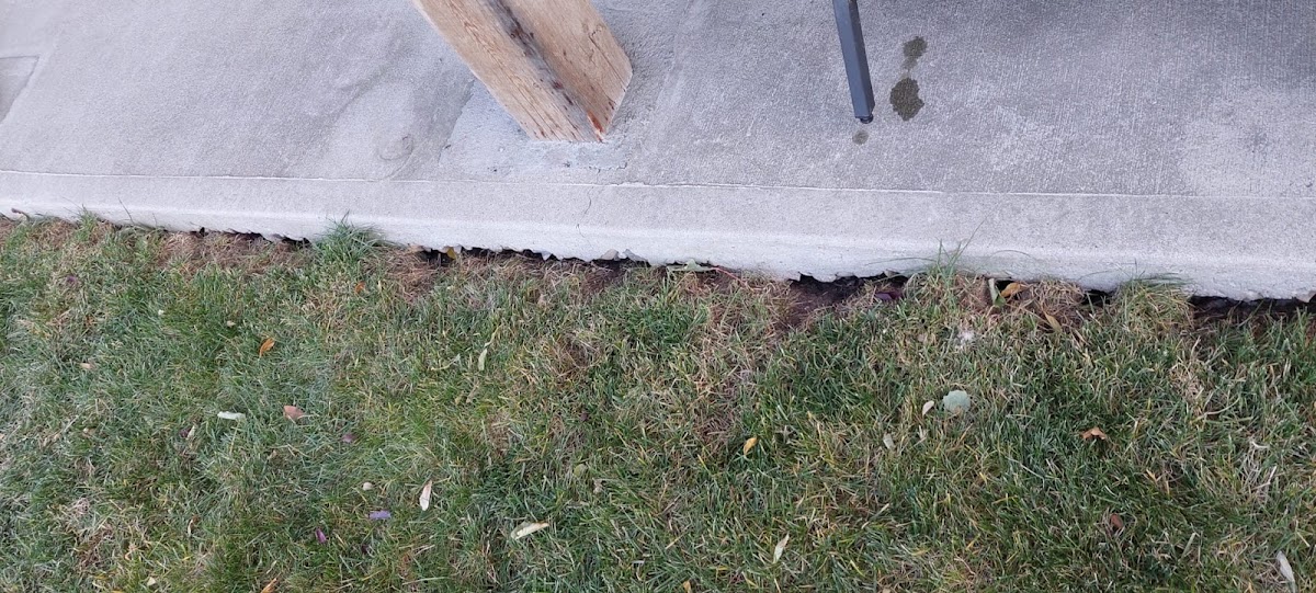 Insight Pest Solutions