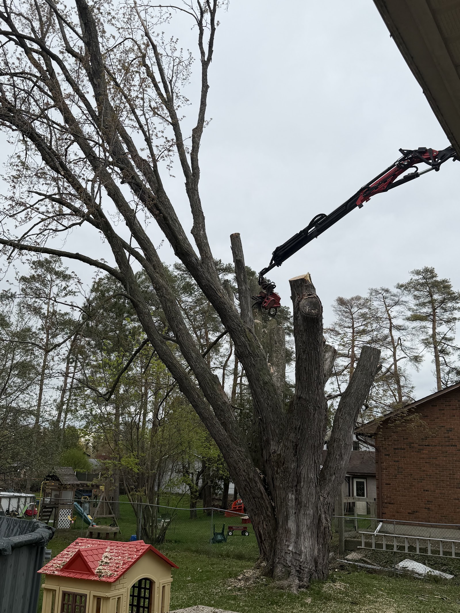 Wright Tree Service business photo 4 - Landscaping in Ottawa