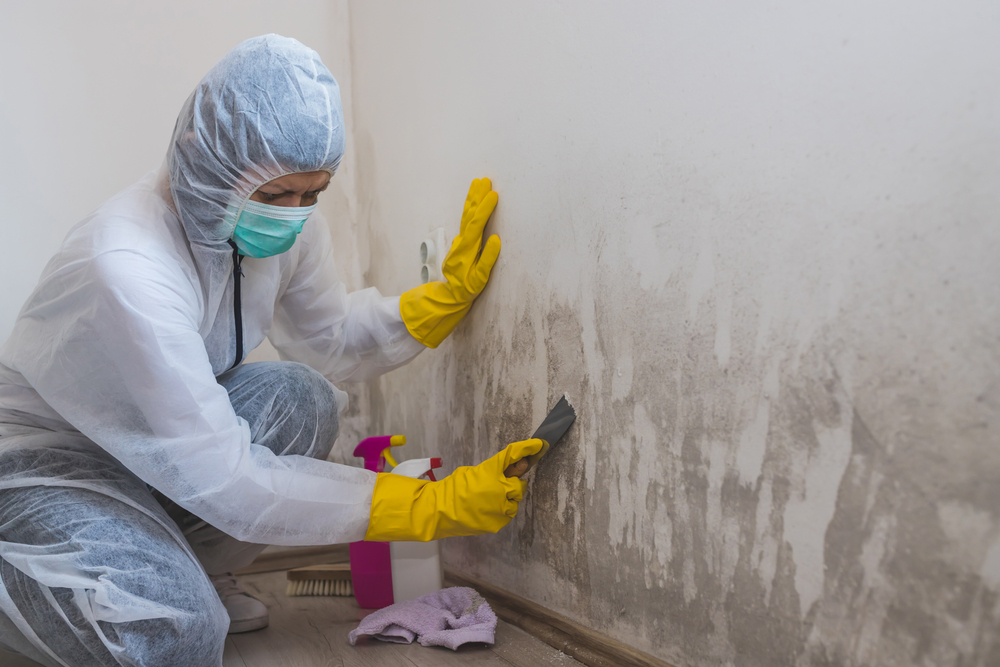 Restoration Logistics Boulder business photo 3 - Renovations in Colorado Springs