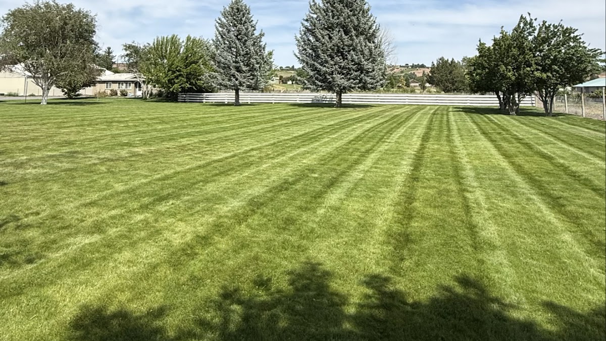 Abel’s and Sons Lawn Services llc