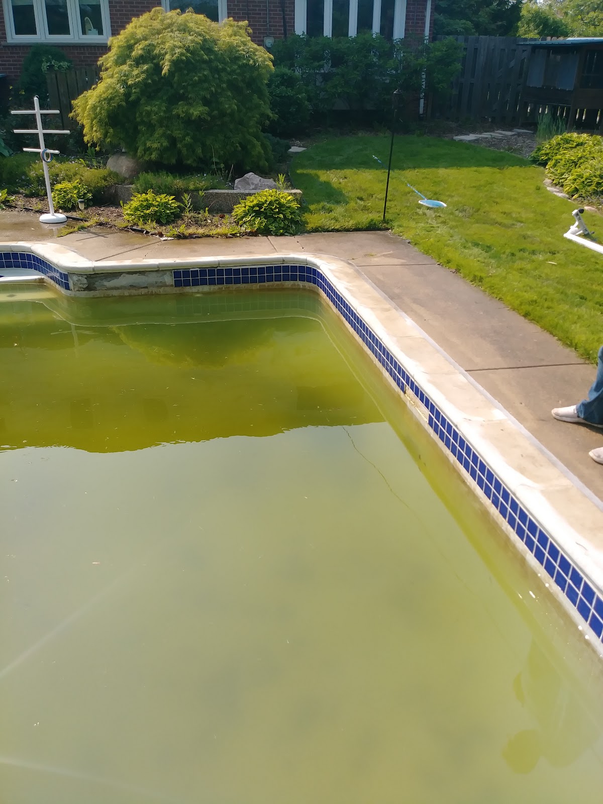 Clearwater Pools & Spas