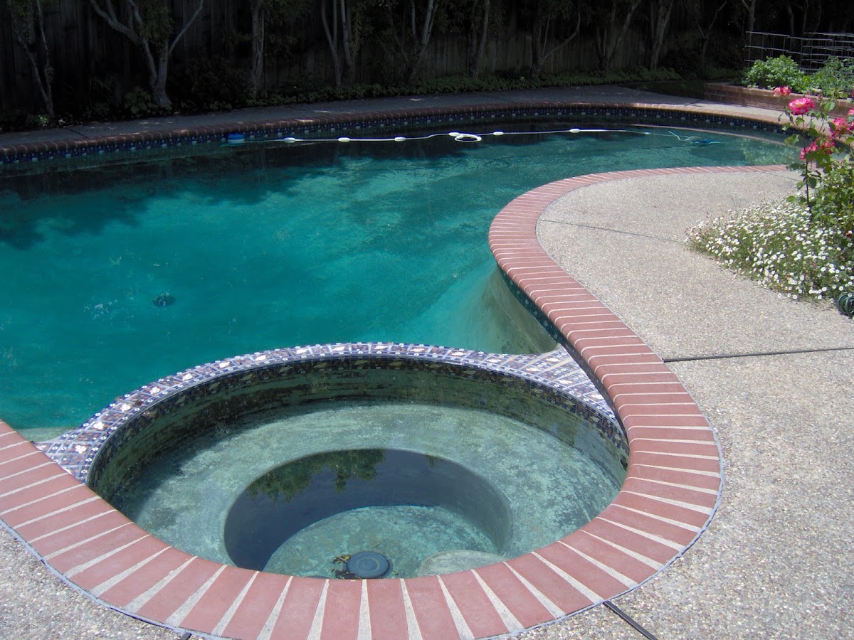 Excel Pool & Spa