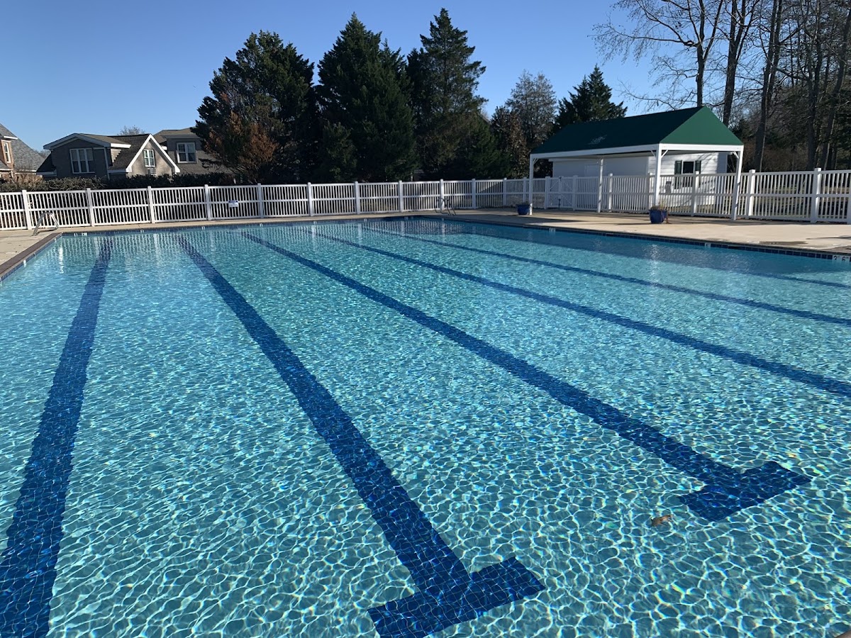 Clearwater Pool Management