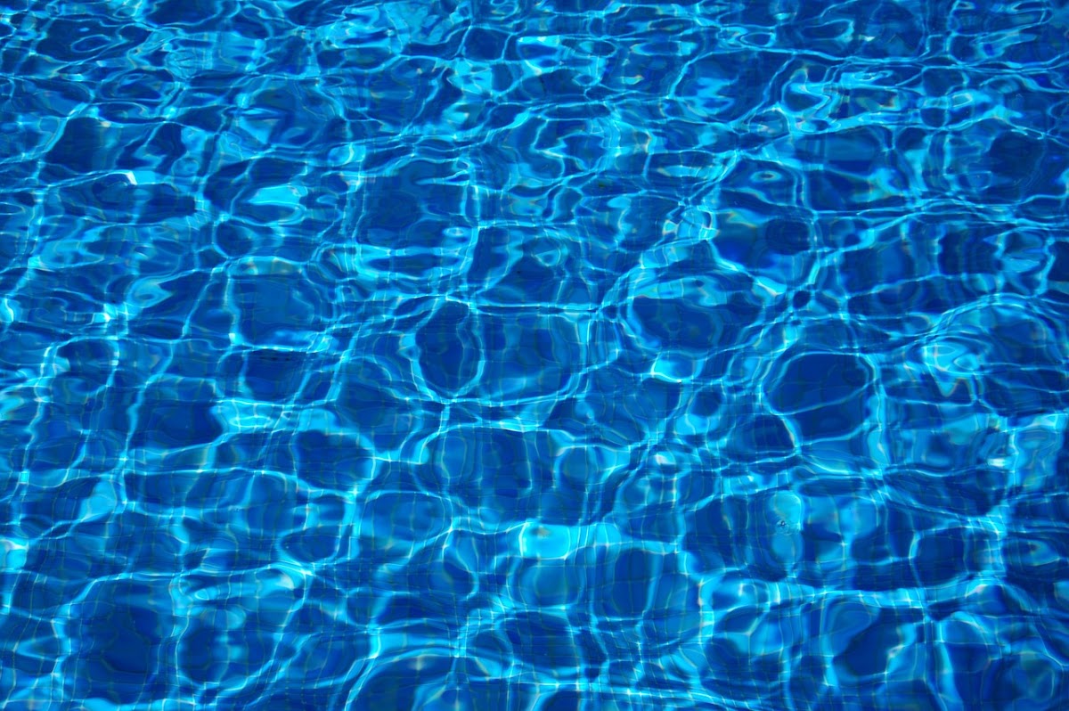 Gecko Pool and Spa