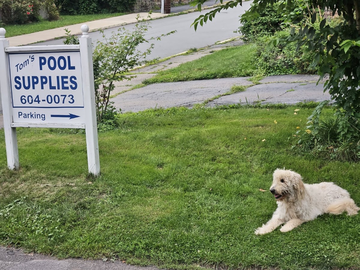 Business photo