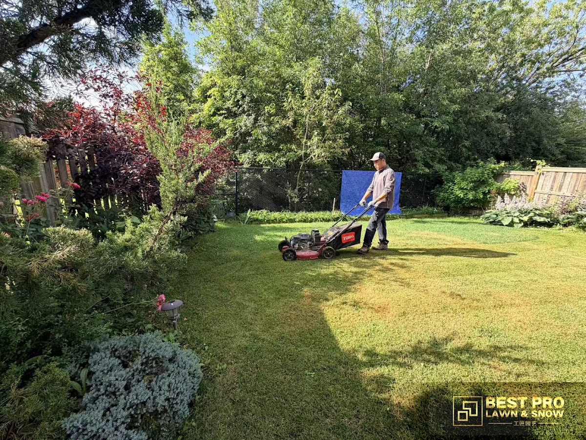 Best Pro Lawn & Snow business photo 2 - Landscaping in Pickering