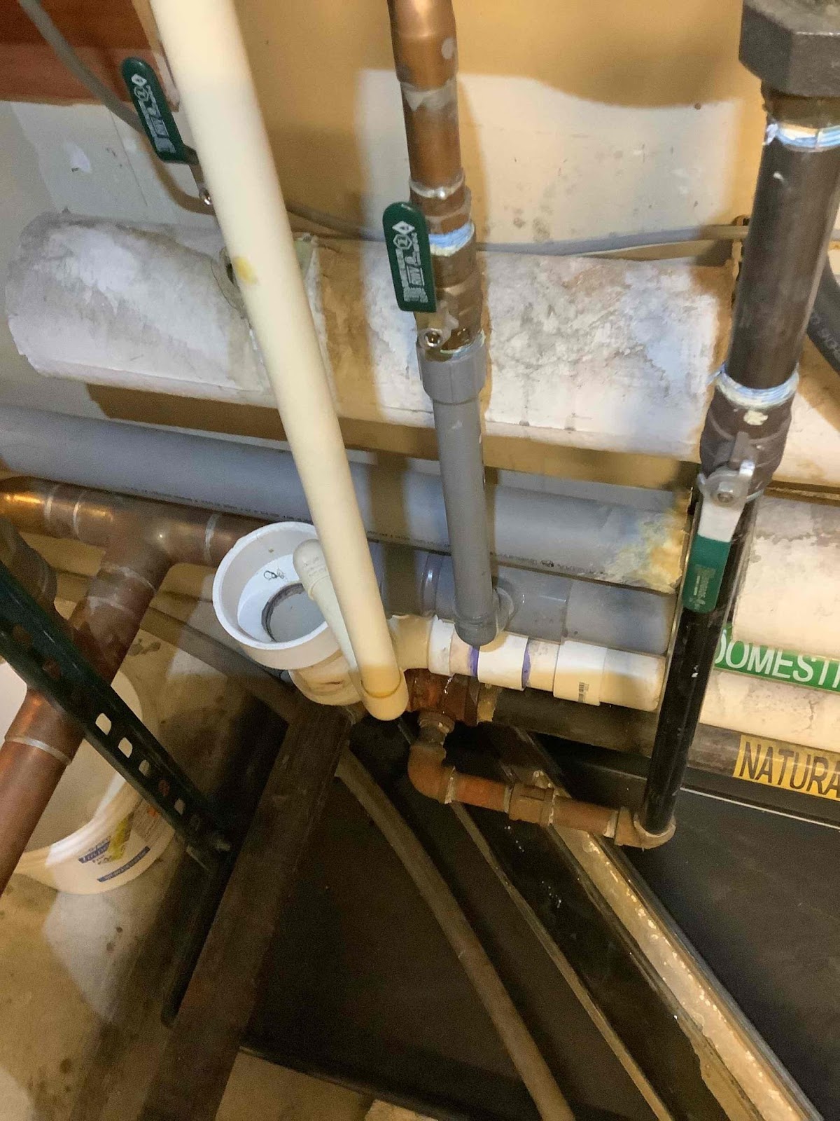Mesa Drain Cleaning & Sewer Repair business photo 3 - Plumbing in Boulder