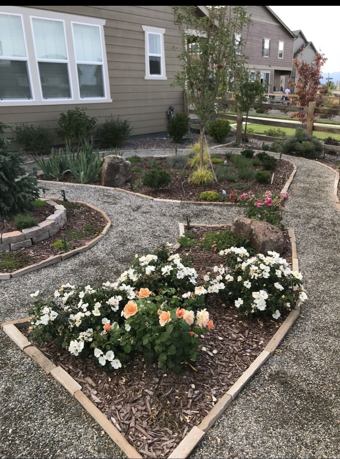 Green Mountain Outdoor Living business photo 3 - Landscaping in Boulder