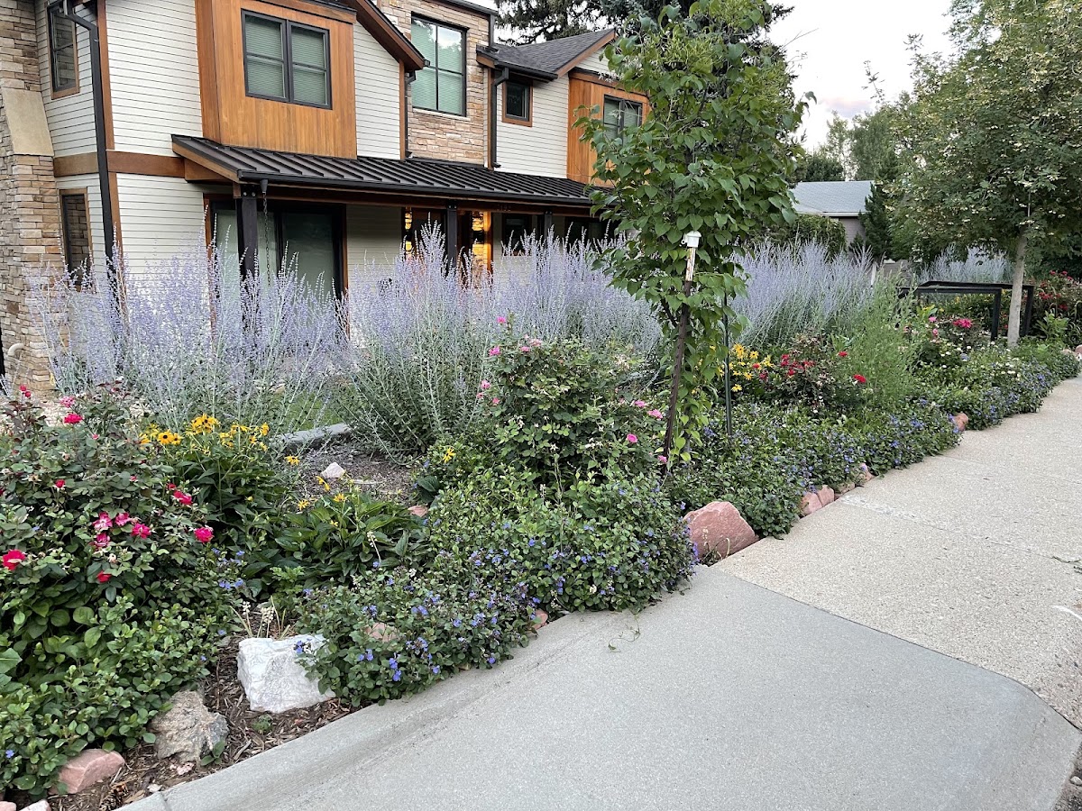 Native Sun Landscaping, LLC business photo 4 - Landscaping in Boulder